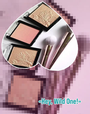Wet and wild makeup brushes